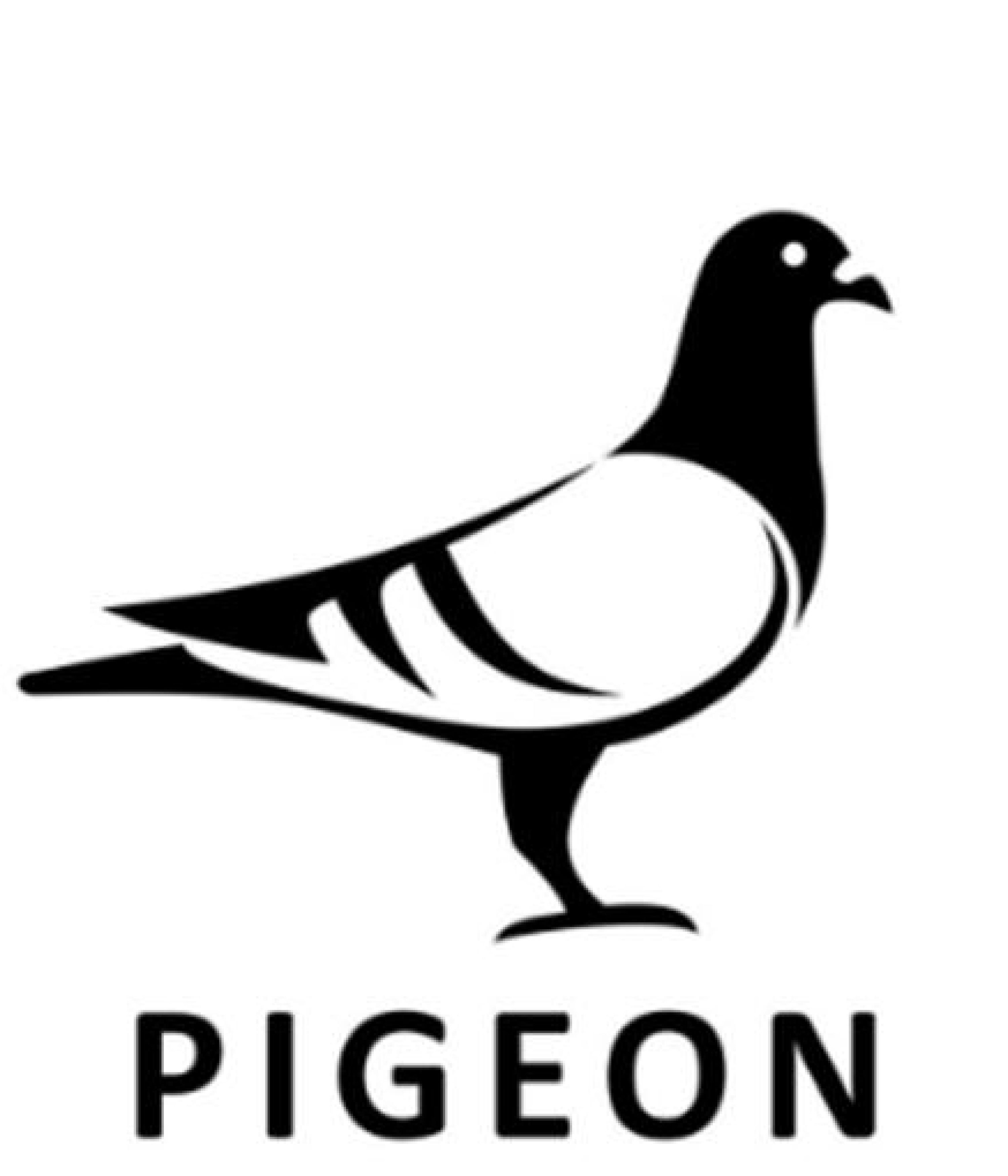 Bird Removal Sydney – Bird logo 1 Bird Removal Sydney - Bird logo 1
